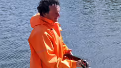 Austernfischer Marcel mit einem Hummer / &copy; Roessingh/Grom (DR)