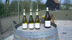 Weine von Winzer Johan van de Velde / &copy; Roessingh/Grom (DR)