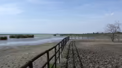 Steppenlandschaft im Nationalpark Neusiedlersee - Seewinkel / &copy; Verena Tr&ouml;ster (DR)