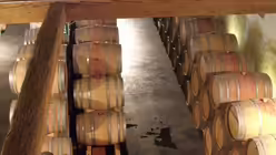 Rotweinf&auml;sser auf dem Weingut Igler / &copy; Verena Tr&ouml;ster (DR)