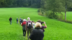 Durch Wald und Wiesen in Oberschwaben / &copy; Anna Kohn (DR)