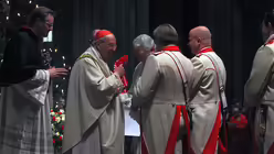 Der Kardinal und die Karnevalisten 7 / &copy; Boecker