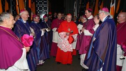 Die Bischofsweihe von Weihbischof Dominikus Schwaderlapp 20 / © Robert Boecker (DR)