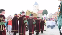 Voran geht ein Pfauenwedel / © Oliver Kelch (DR)