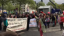 Karnevalisten unter den Demonstranten / &copy; Jann-Jakob Loos (DR)