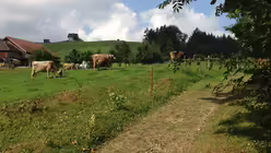 von Appenzell Richtung Urnäsch / © Stefan Quilitz