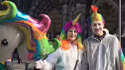 ... aber auch Fabelwesen wie diese Einhörner. / © Melanie Trimborn (DR)