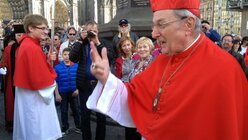 Kardinal Meisner (Verabschiedung 2014) / © dpa (dpa)