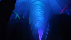 Impressionen / © Pia Modanese (Kölner Dom)