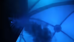 Impressionen / &copy; Pia Modanese (K&ouml;lner Dom)