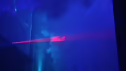 Impressionen / &copy; Pia Modanese (K&ouml;lner Dom)