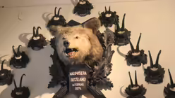 Jagdtroph&auml;en in der Kaiservilla / &copy; Severin Godesberg (privat)