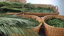 Jede Menge Palmzweige in K&ouml;rben / &copy; Beatrice Tomasetti (DR)