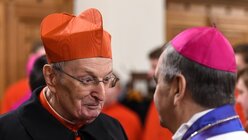 Kardinal Meisner im Kölner Dom / © Oppitz (KNA)