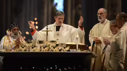 Kardinal Cleemis ist das Oberhaupt der mit Rom unierten syro-malankarischen Kirche / © Beatrice Tomasetti (DR)