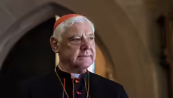 Zu den Konzelebranten geh&ouml;rt u.a. Kardinal Gerhard Ludwig M&uuml;ller  / &copy; Harald Oppitz (KNA)