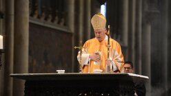 Kardinal Müller zelebriert das Pontifikalamt / © Beatrice Tomasetti (DR)