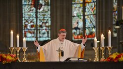 Kardinal Woelki beim Hochgebet. / © Beatrice Tomasetti (DR)