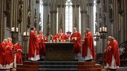 Kardinal Woelki mit allen Konzelebranten beim Hochgebet / © Beatrice Tomasetti (DR)