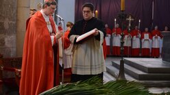 Kardinal Woelki segnet die Palmzweige / © Beatrice Tomasetti (DR)