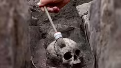 Kirche auf der einstigen K&ouml;nigspfalz Helfta wird ausgegraben  / &copy; Ronny Hartmann (dpa)