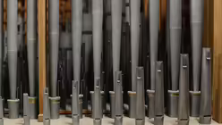 Kleine und große Orgelpfeifen. / © Beatrice Tomasetti (DR)