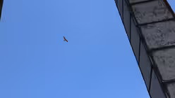 K&ouml;lner Dom / &copy; Ochlast (DR)