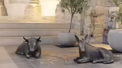 Krippenbesuche in Corona-Zeiten (DR)