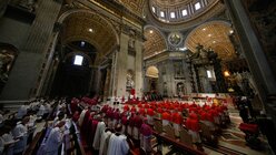 Liturgie am Karfreitag im Petersdom im Vatikan / © Paul Haring (KNA)