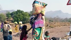 Menschen auf dem Rückweg von Mumbai in ihre Heimat Rajasthan: Die Strecke beträgt über 800 Kilometer. / © Rescue Foundation (privat)