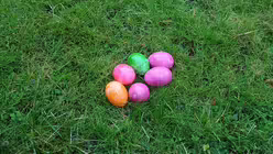 Ostereier im Erzbischöfllichen Garten / © Tomasetti (DR)