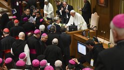 Papst Franziskus begrüßt einen Teilnehmer bei einem Gipfeltreffen zum Thema Missbrauch.  / © Papst Franziskus (r) begrüßt einen Teilnehmer bei einem Gipfeltreffen zum Thema Missbrauch.  (dpa)
