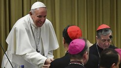 Papst Franziskus begrüßt einen Teilnehmer bei einem Gipfeltreffen zum Thema Missbrauch / © Vincenzo Pinto (dpa)