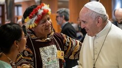 Papst Franziskus begrüßt Teilnehmer der Amazonas-Bischofssynode / © Vatican Media (KNA)