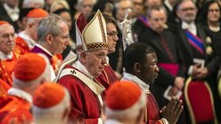 Papst Franziskus bei der Messe zum Patronatsfest Peter und Paul / © Stefano dal Pozzolo (KNA)