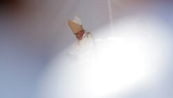 Papst Franziskus bei der Seligsprechung / © Vadim Ghirda (dpa)