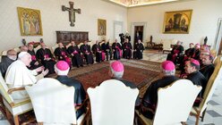 Papst Franziskus empfängt Bischöfe aus Spanien beim Ad-limina-Besuch / © Vatican Media/Romano Siciliani (KNA)