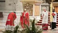 Papst Franziskus erteilt den Segen an Palmsonntag / &copy; Paul Haring (KNA)