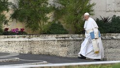 Papst Franziskus geht zu einem Gipfeltreffen zum Thema Missbrauch / © Vincenzo Pinto (dpa)