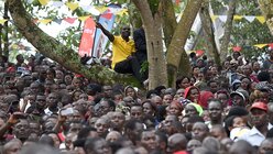 Tausende feierten den Papst in Uganda  / © Daniel Dal Zennaro (dpa)
