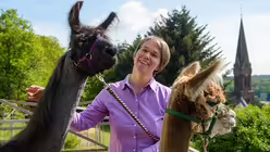 Lamas sind zur&uuml;ckhaltender als Hunde / &copy; Oliver Dietze (dpa)