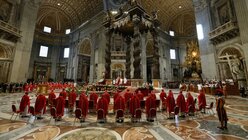 Pfingstmesse mit Papst Franziskus / © Paul Haring/Vatican Media/Romano Siciliani (KNA)