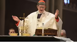 Pontifikalamt im K&ouml;lner Dom am Hochfest der Geburt des Herrn / &copy; Beatrice Tomasetti (DR)