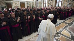 Papst begrüßt neue Bischöfe / © Osservatore Romano (dpa)