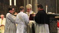 Priesterweihe im Kölner Dom / © Robert Boecker (Kirchenzeitung Koeln)