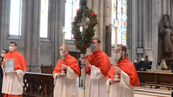 Eindrücke vom Pontifikalamt am Palmsonntag mit Erzbischof Woelki / © Beatrice Tomasetti (DR)