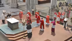 Eindrücke vom Pontifikalamt am Palmsonntag mit Erzbischof Woelki / © Beatrice Tomasetti (DR)