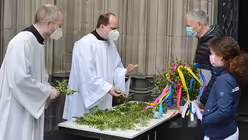 Eindrücke vom Pontifikalamt am Palmsonntag mit Erzbischof Woelki / © Beatrice Tomasetti (DR)