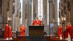 Eindrücke vom Pontifikalamt am Palmsonntag mit Erzbischof Woelki / © Beatrice Tomasetti (DR)