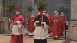 Eindrücke vom Pontifikalamt am Palmsonntag mit Erzbischof Woelki / © Beatrice Tomasetti (DR)